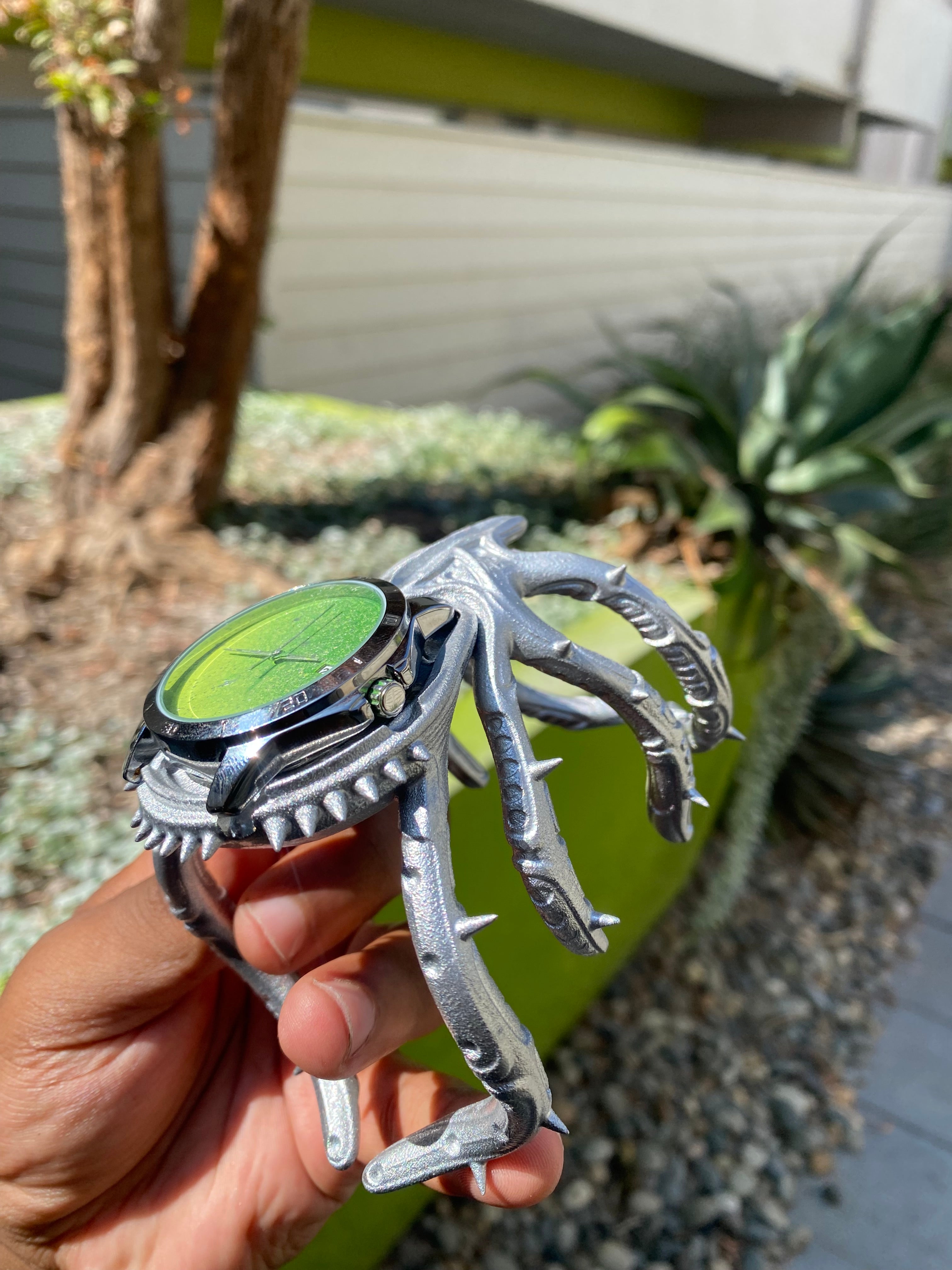 Spider Watch
