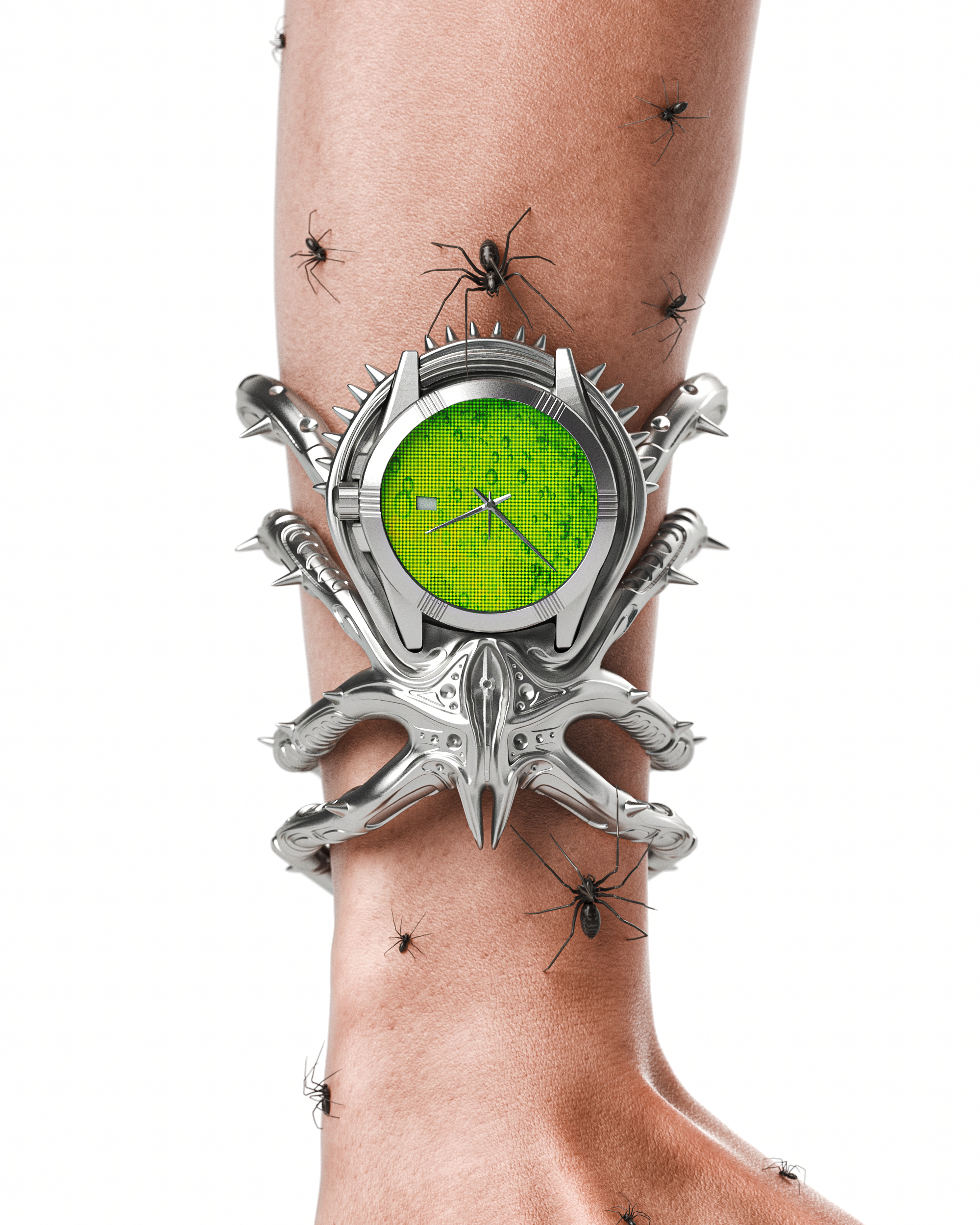 Spider Watch