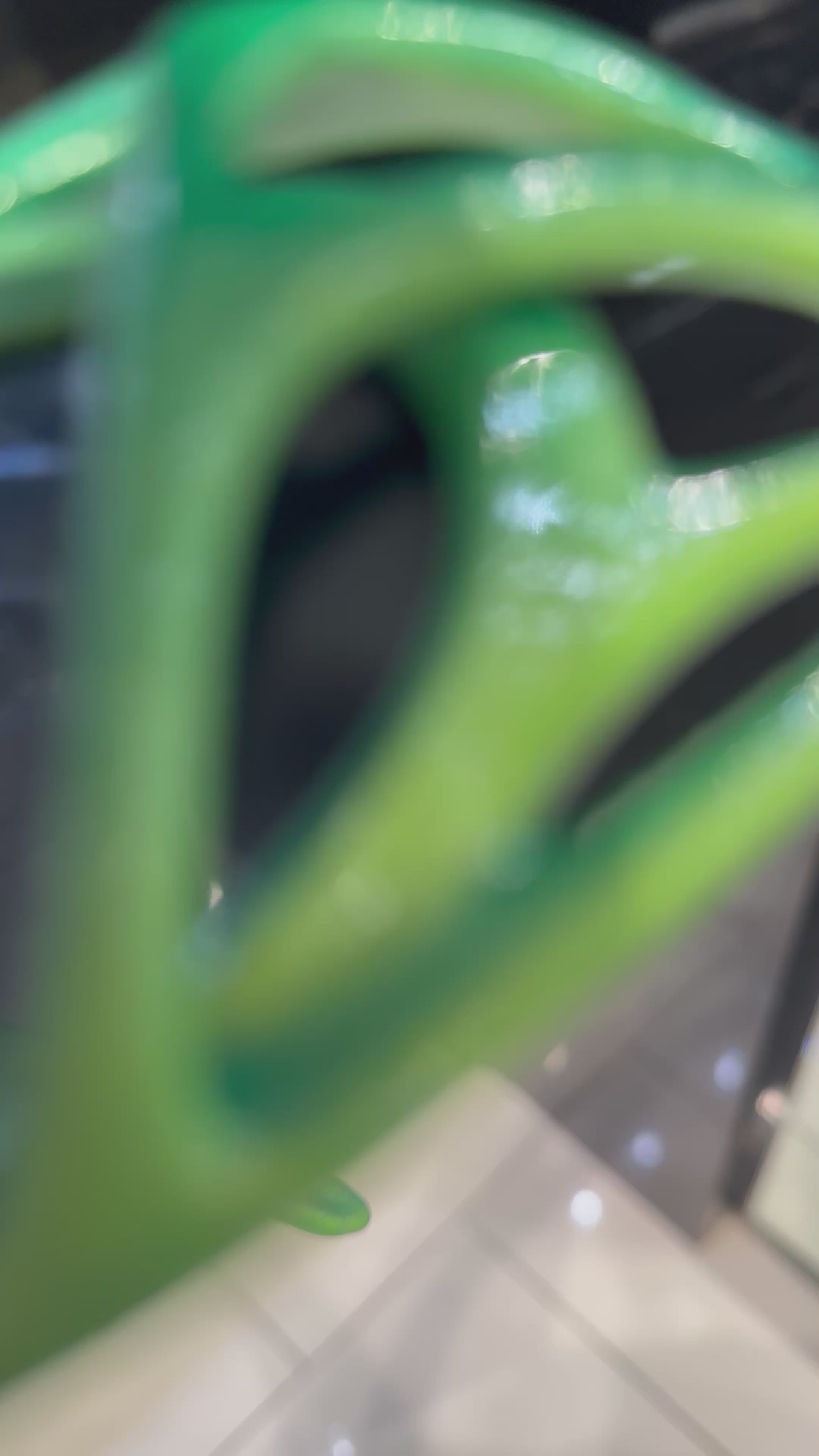 Goblin Sunglasses